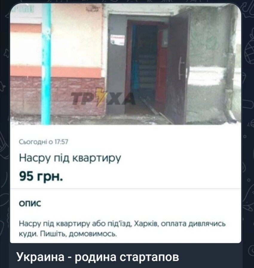 О политике и не только