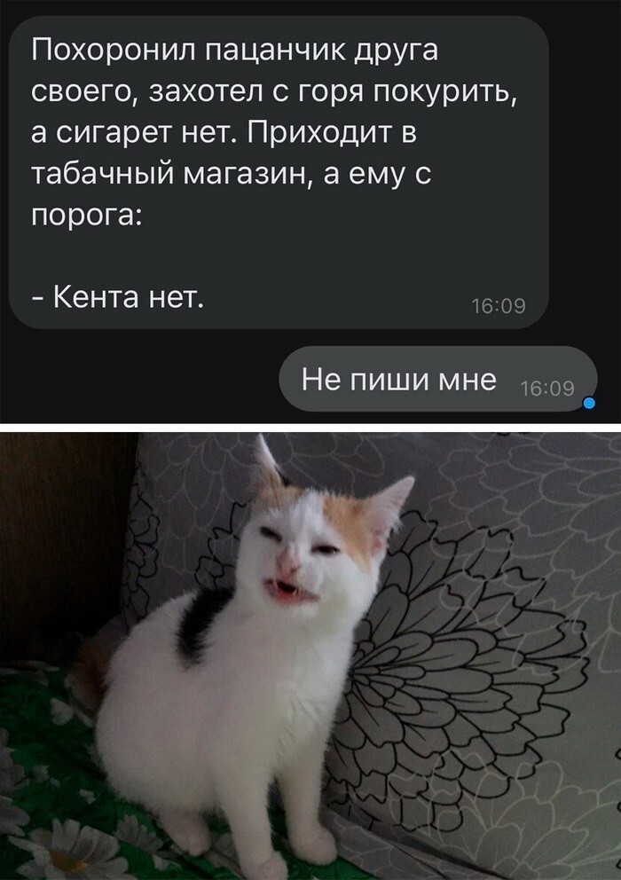 Скрины из соцсетей 