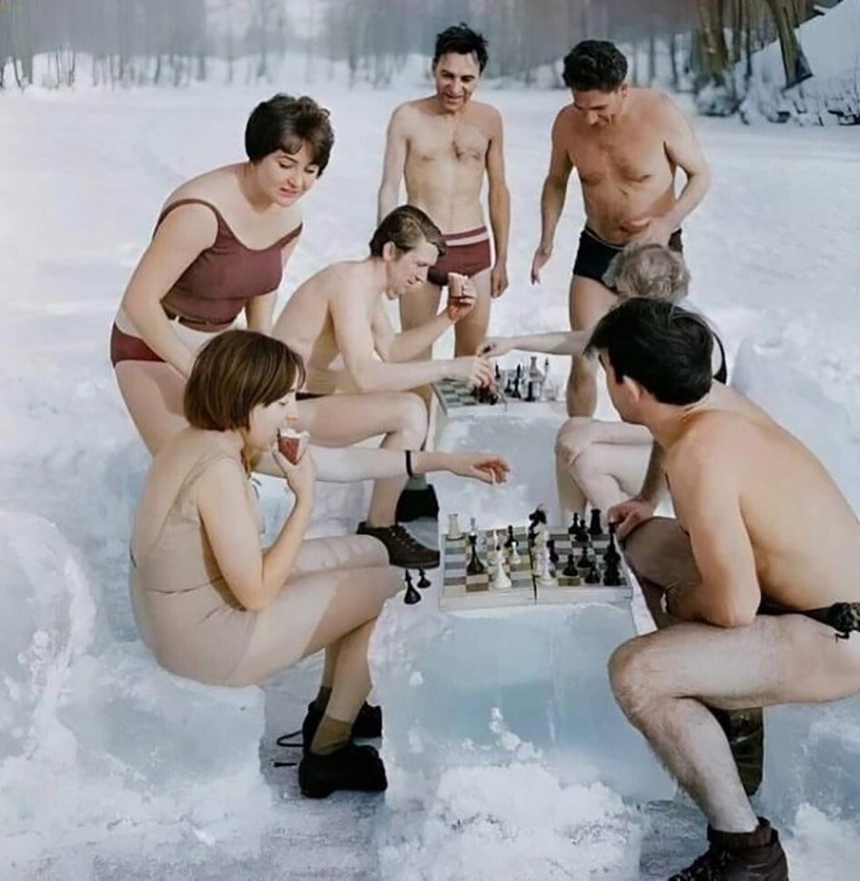 Моржи играют в шахматы. 1969 год