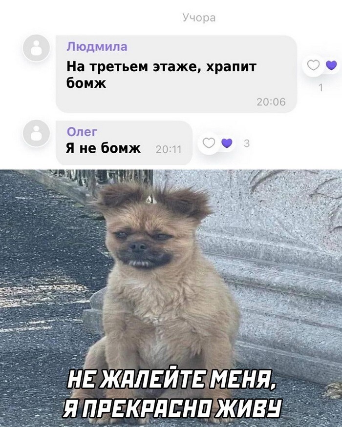 Скрины из соцсетей 