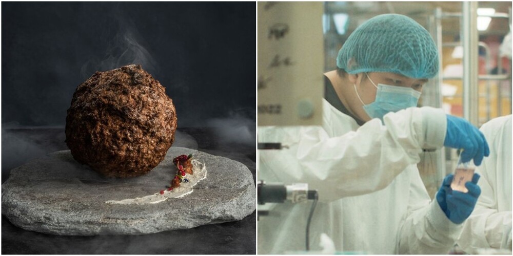 Австралийские учёные воссоздали мясо мамонта, и сделали из него фрикадельку