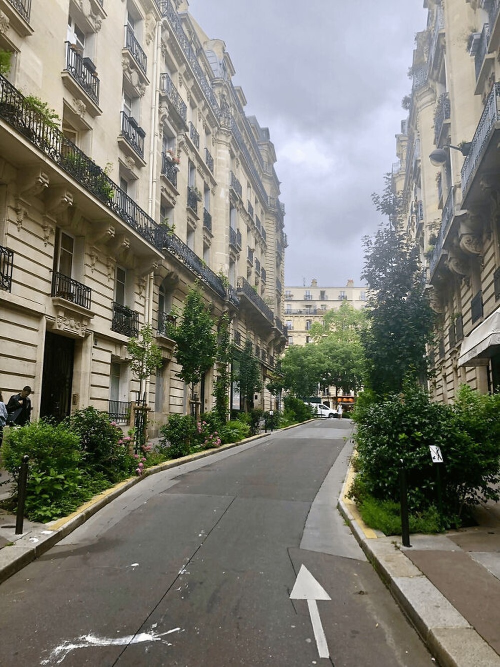 11. Еще пару лет назад эти мини-сады в Париже были парковочными местами. Их засадили фруктовыми деревьями и цветущими кустарниками