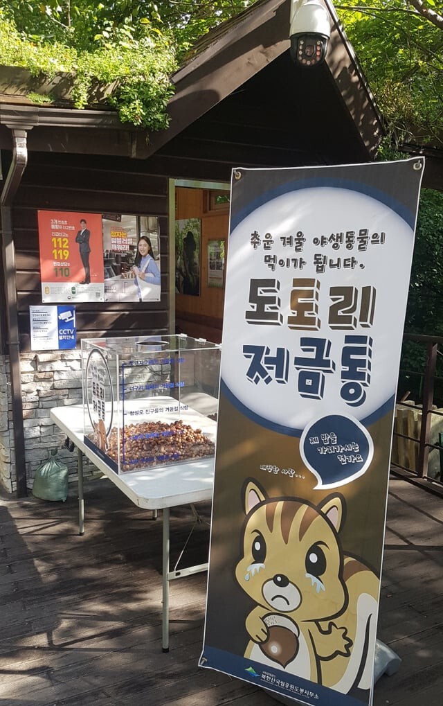 6. В Корее заботятся о животных, потому на входе в парк есть табличка, что орехи/жёлуди брать нельзя, так как белкам зимой нечего есть