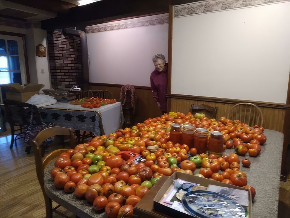 9. «Урожай помидоров моей 91-летней бабушки в этом году»