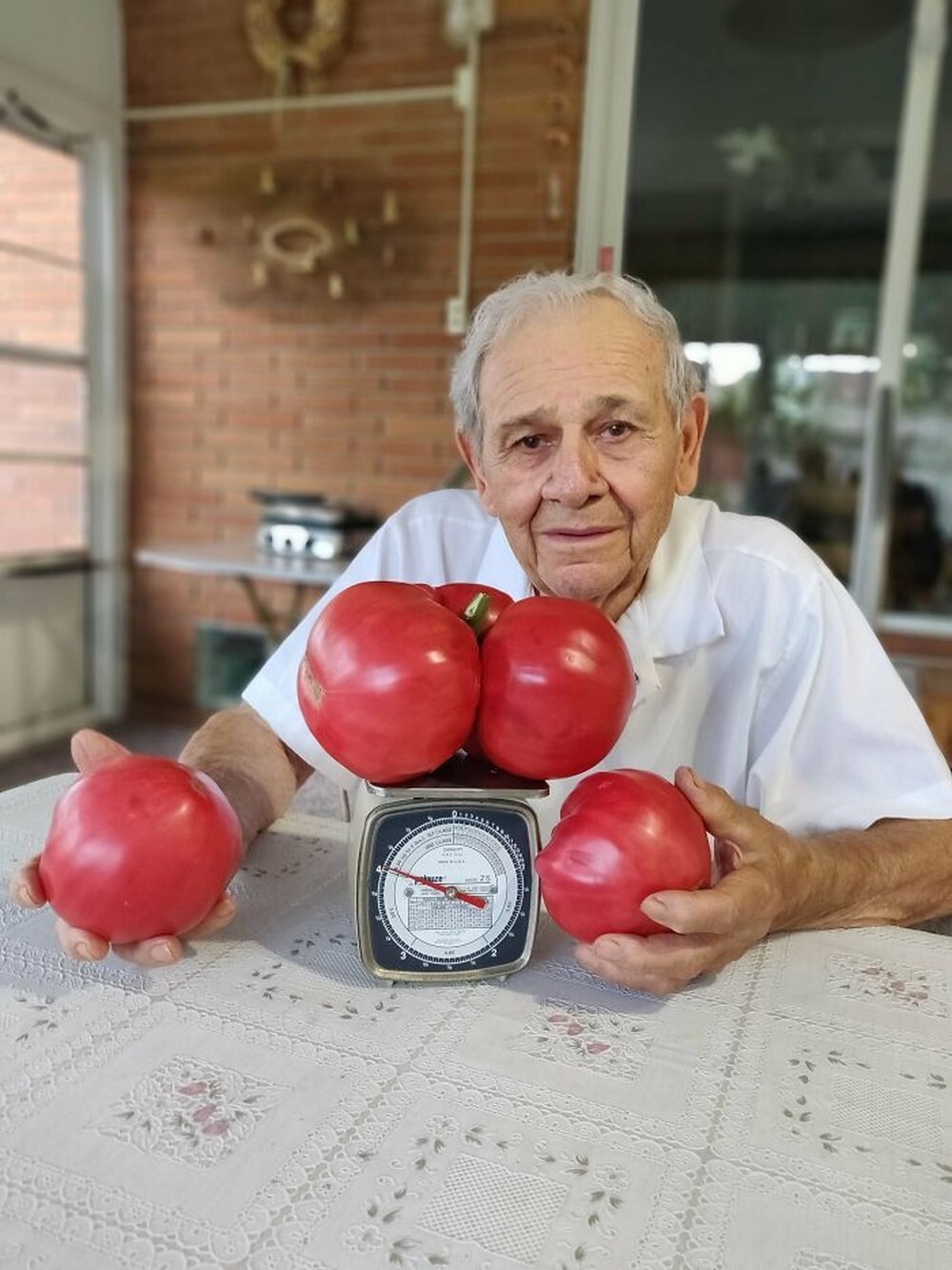 14. «Гигантские томаты моего соседа весом 1,8 килограмма. Он очень ими гордится и просил поделиться со всеми»