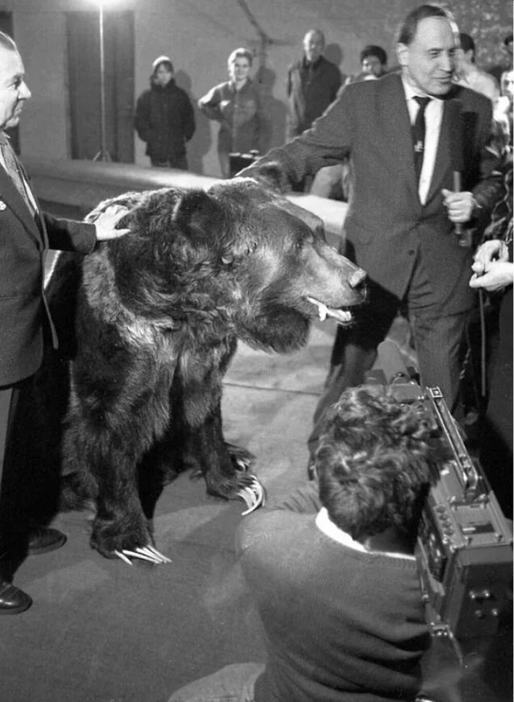 Николай Дроздов на съёмках документального фильма «Царство русского медведя», 1992 год.