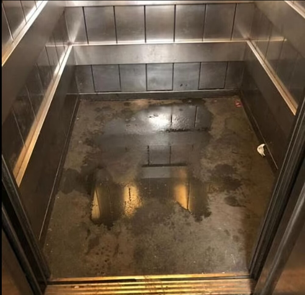 Лужи в лифте и мусор на полу: казармы британских королевских гвардейцев похожи на свинарник