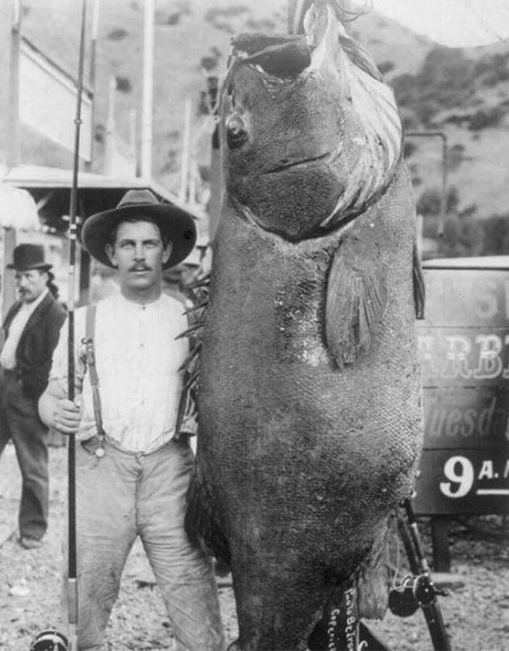 22. В 1903 году Эдвард Ллевеллин побил мировой рекорд, поймав морского окуня весом 193 килограмма