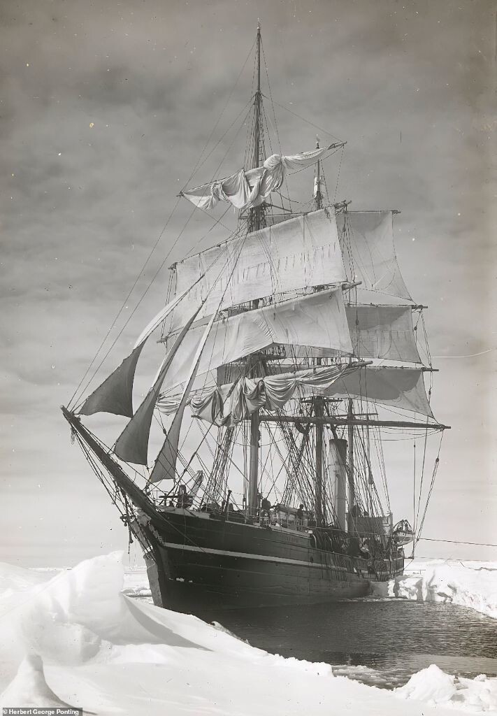 Редкие фотографии британских и австралийских антарктических экспедиций начала 20 века