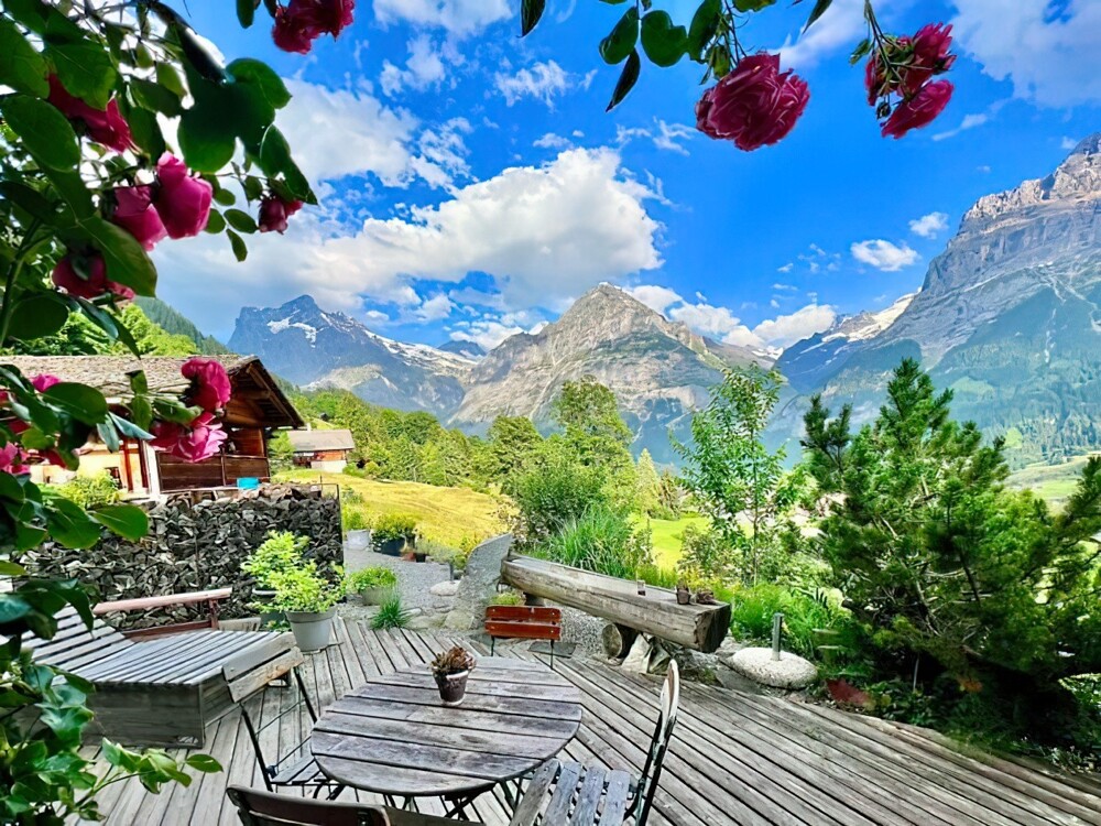 6. «Гриндельвальд, Швейцария. Наблюдал невероятный вид из моего окна в течение нескольких дней»