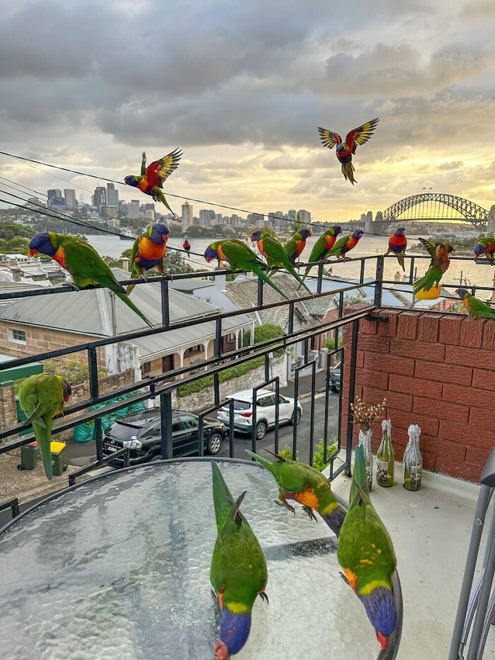 3. «Мой балкон в Сиднее, Австралия»