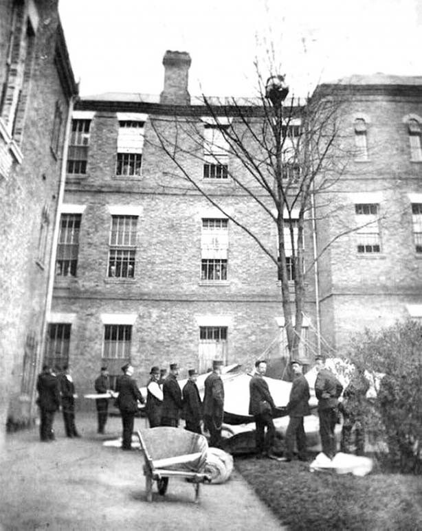 Работники психбольницы ждут, когда пациент спустится с дерева, Лондон, 1895 год