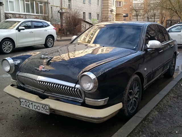 Автовсячина