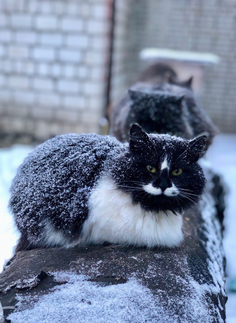 Немного нуара в ленту