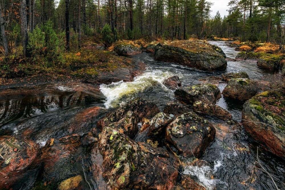 Фото Северного лета