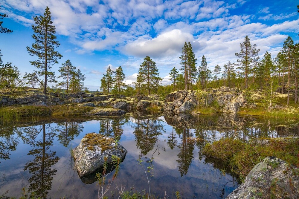 Фото Северного лета