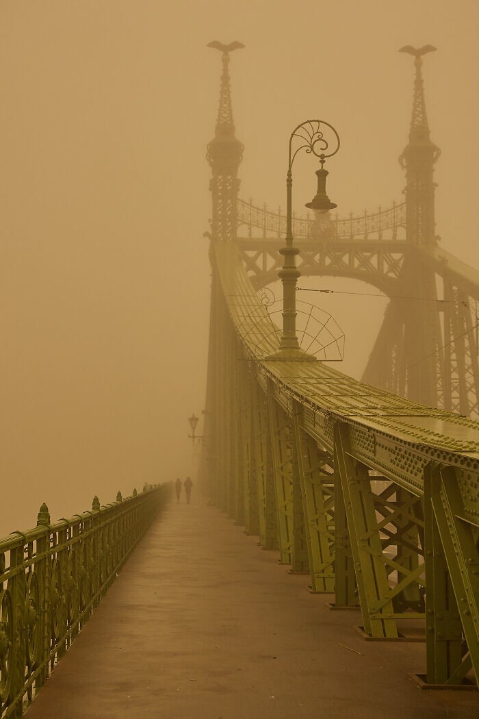 11. Мост Свободы в Будапеште, Венгрия. Фотограф Marc In