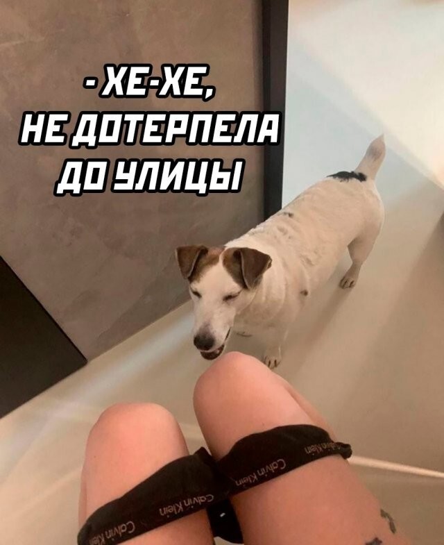 Намешалось