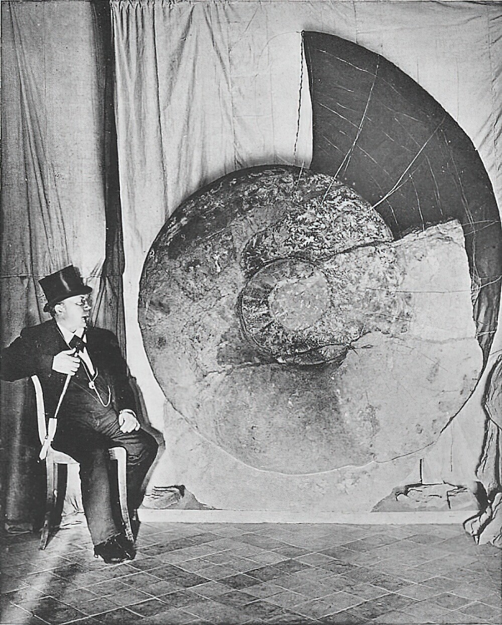 21. Parapuzosia Seppenradensis, крупнейший известный аммонит, сфотографированный в конце 1800-х годов рядом с описавшим его палеонтологом