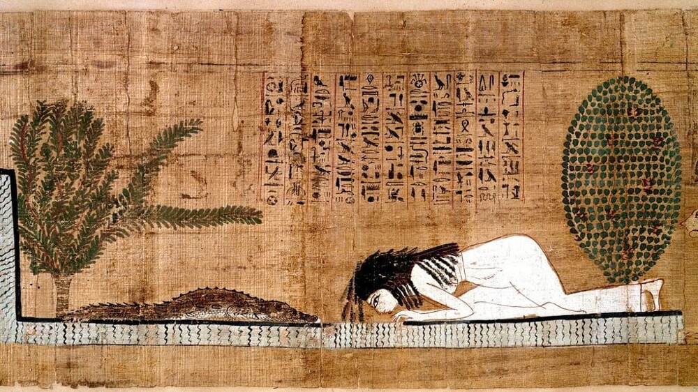 5. В Древнем Египте женщины смазывали свои влагалища крокодильим навозом. Так они предохранялись. Из-за большого количества кислоты он выступал в качестве естественного спермицида