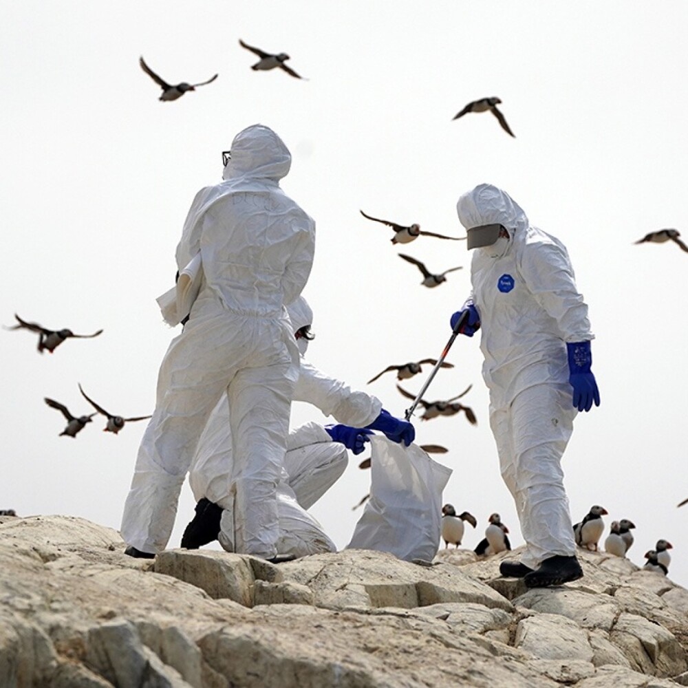 В Китае зафиксировали первую смерть от птичьего гриппа