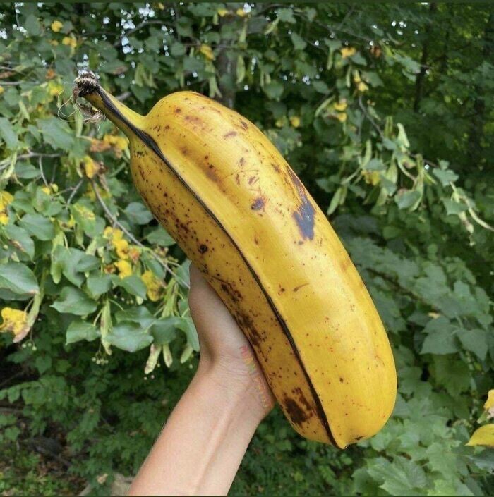 34. Гавайский банан