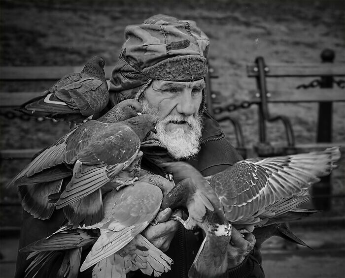9. Мужчина и голуби. Фотограф Eitan Daniel Raz