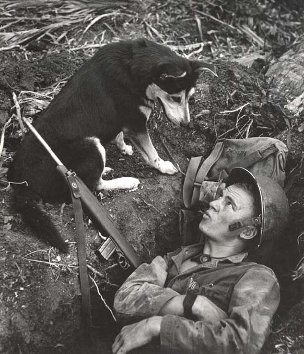 Морпех в окопе и собака. Филиппины, 1944 год. Фотограф Уильям Юджин Смит