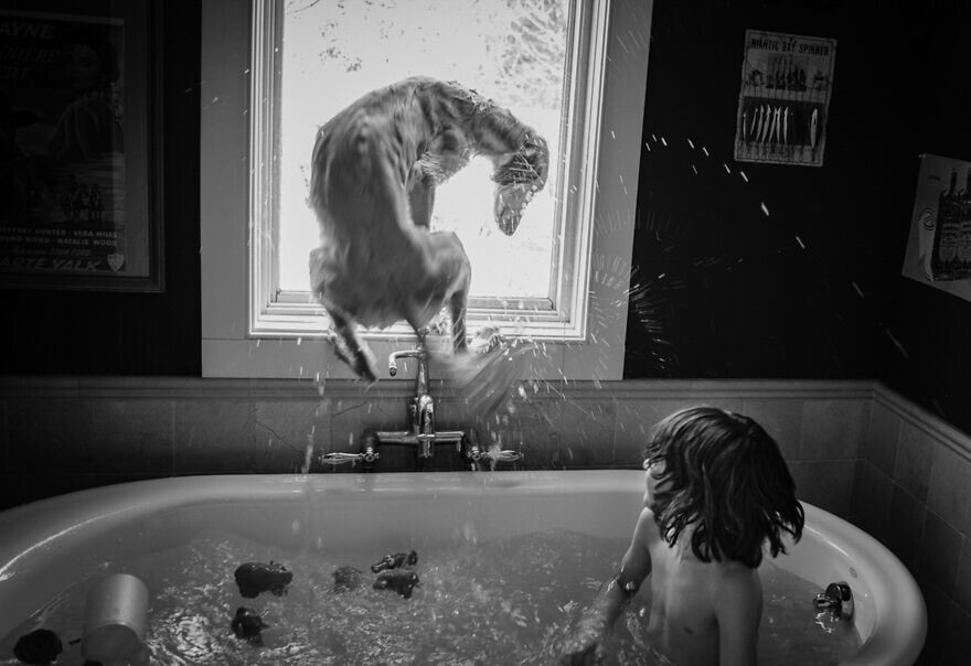 17. "Время купания", фотограф - Wendy Stone