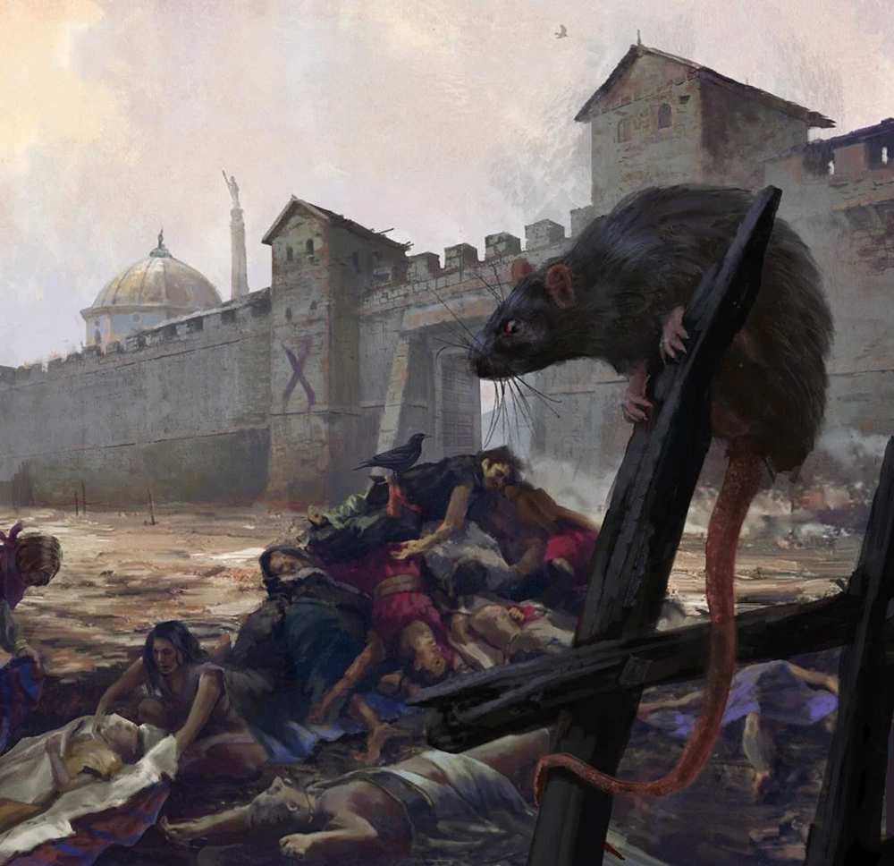 Крысиный король: почему за него в Средние века отправляли на костёр