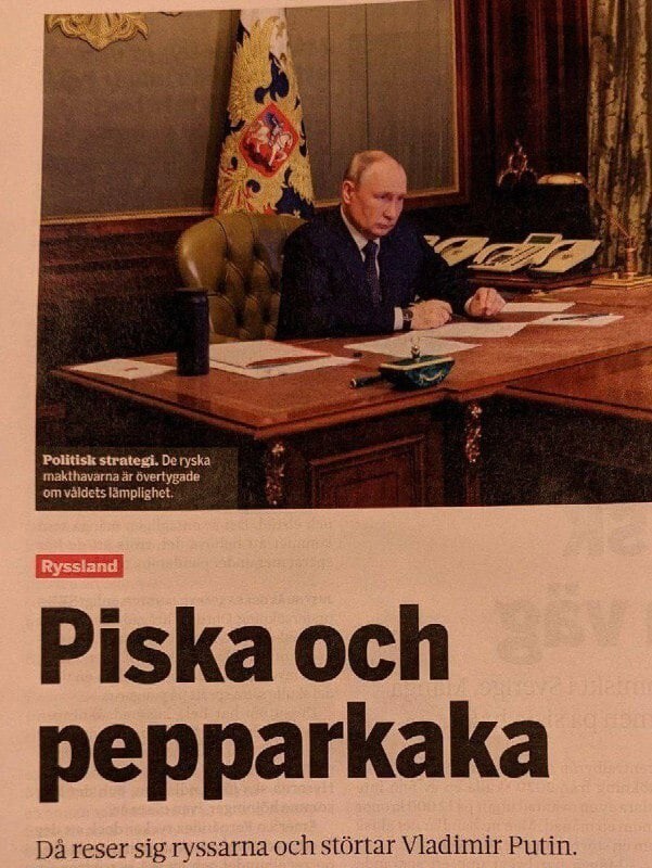Обзор шведской прессы. Это «Кнут и пряник», если что. А не то, что вы там напридумывали