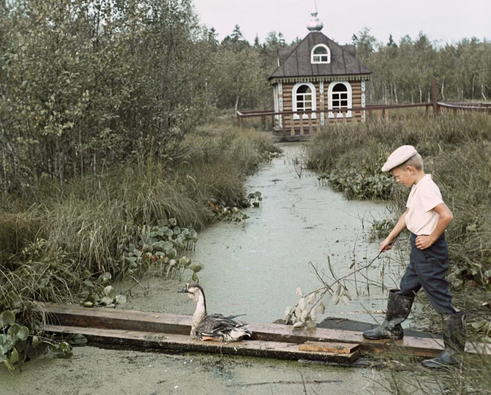 Мальчик погоняет гуся на мостках, 1972 год