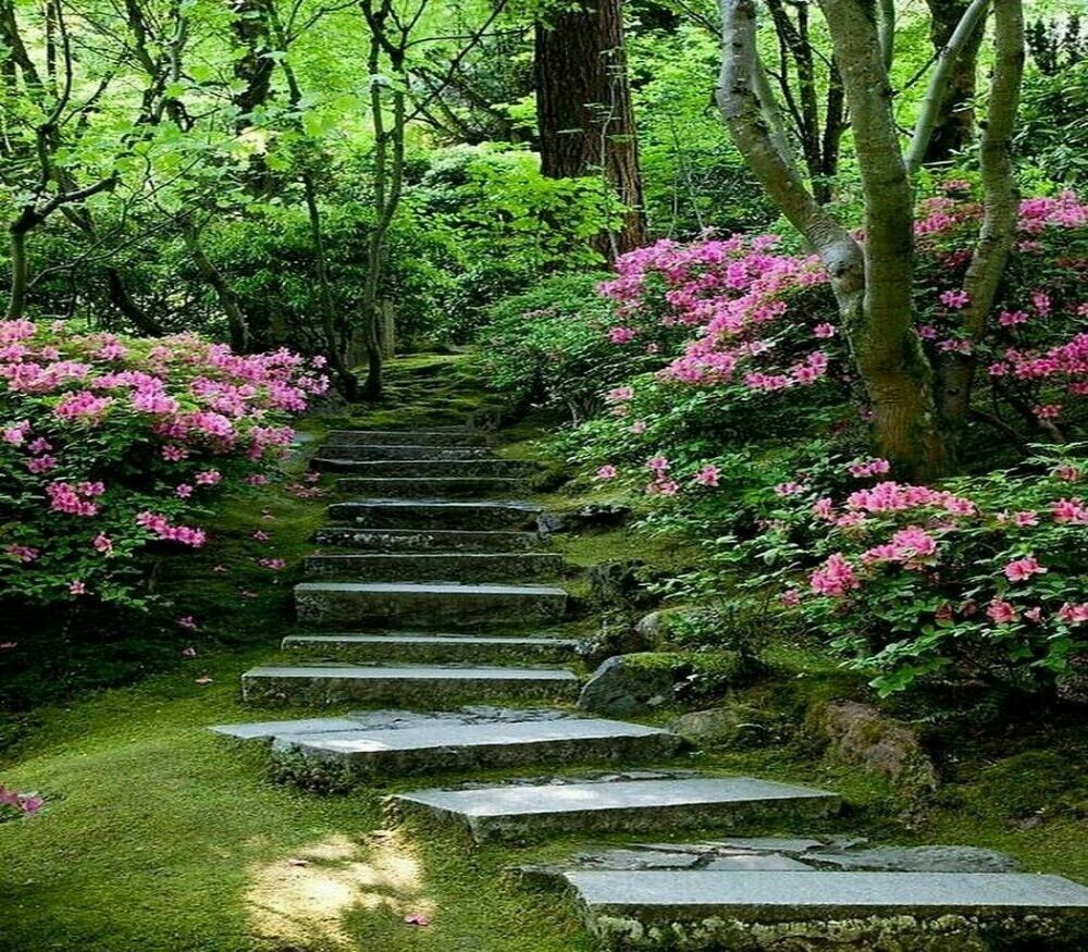3. Портлендский японский сад, лестница в небеса