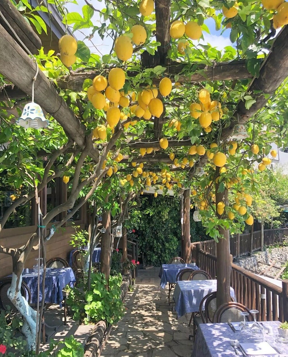 5. Лимонный сад, Сорренто, Италия