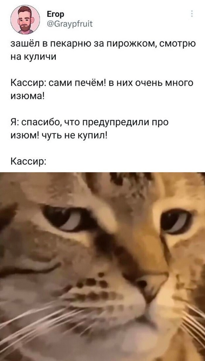 Скрины из соцсетей 