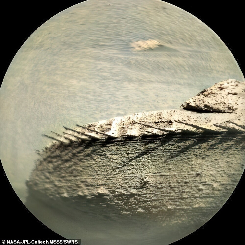 На Марсе заметили необычный камень, похожий на хребет рыбы