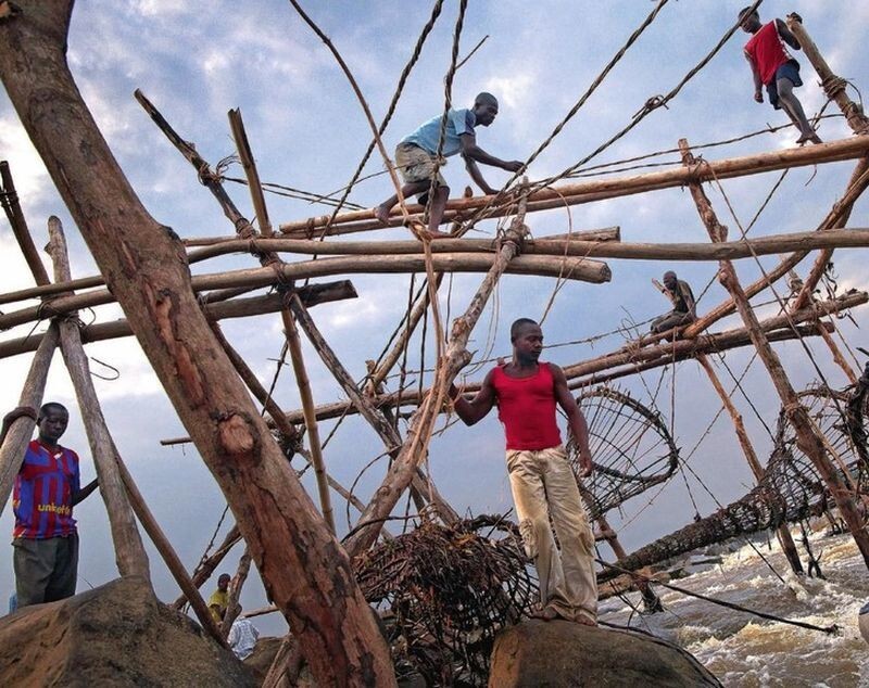 Представители крохотного африканского племени придумали необычный и эффективный способ добычи рыбы