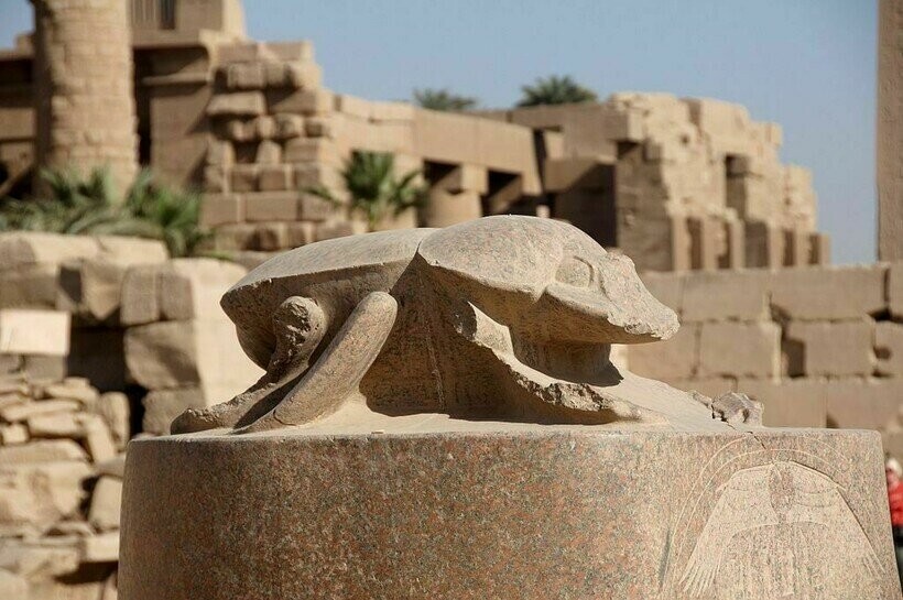 Почему в Древнем Египте поклонялись навозным жукам
