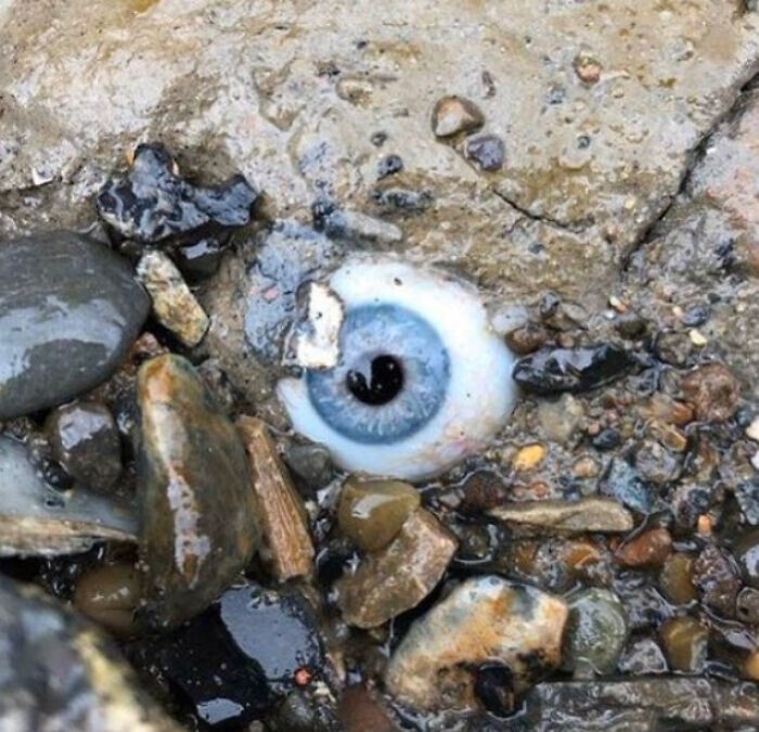 4. Парень гулял по пляжу, и нашёл стеклянный глаз в скале