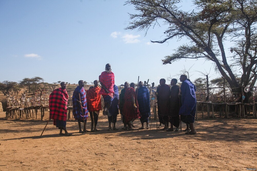 Мужчины племени массаев в Танзании соревнуются, кто выше прыгнет