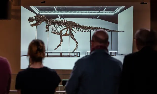 Скелет тираннозавра Тринити продали на аукционе