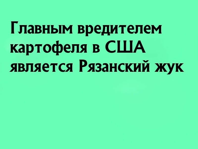 О политике и не только