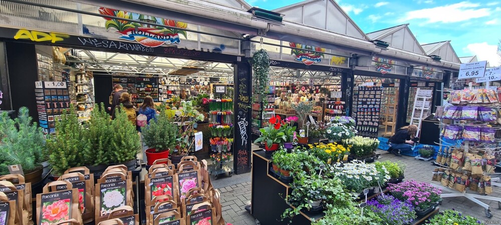 Рынок Амстердаме, где можно купить семена цветов и, конечно, клубни тюльпанов...