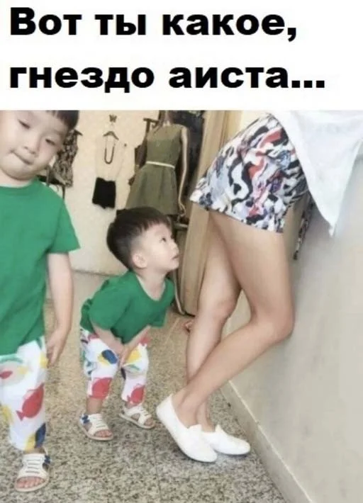 908e60f8a57a27e4a13ca95097eddad7.jpg.web