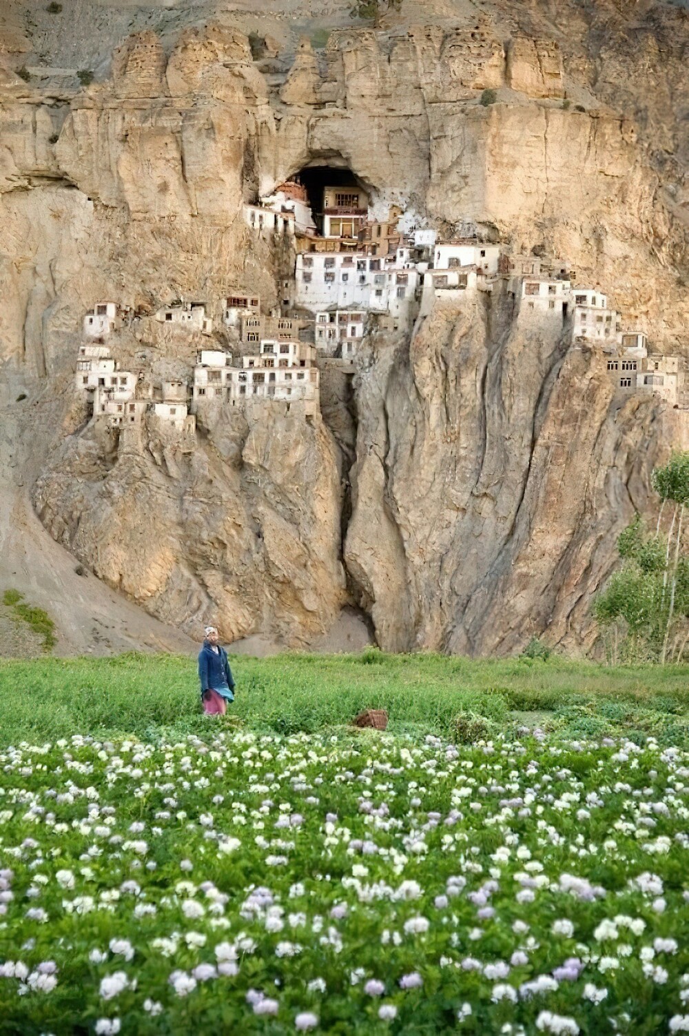20. Монастырь Пхуктал построен вокруг естественной пещеры, которую, как полагают, посещали многие мудрецы, учёные, переводчики и монахи около 2550 лет назад
