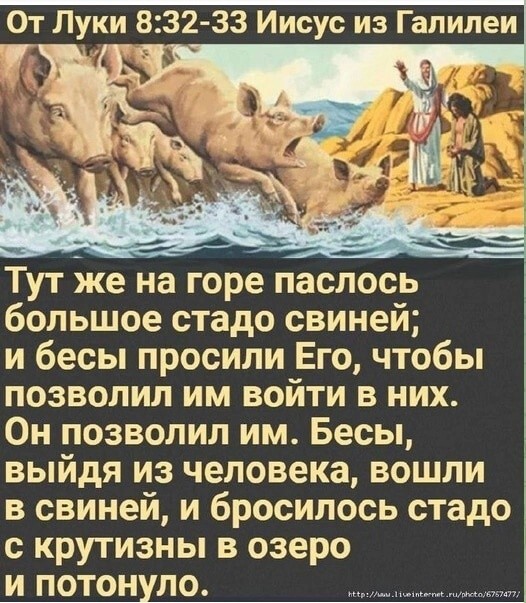 О политике и не только