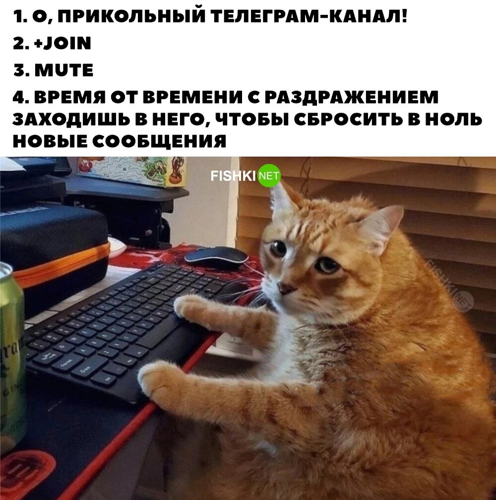 И так всегда