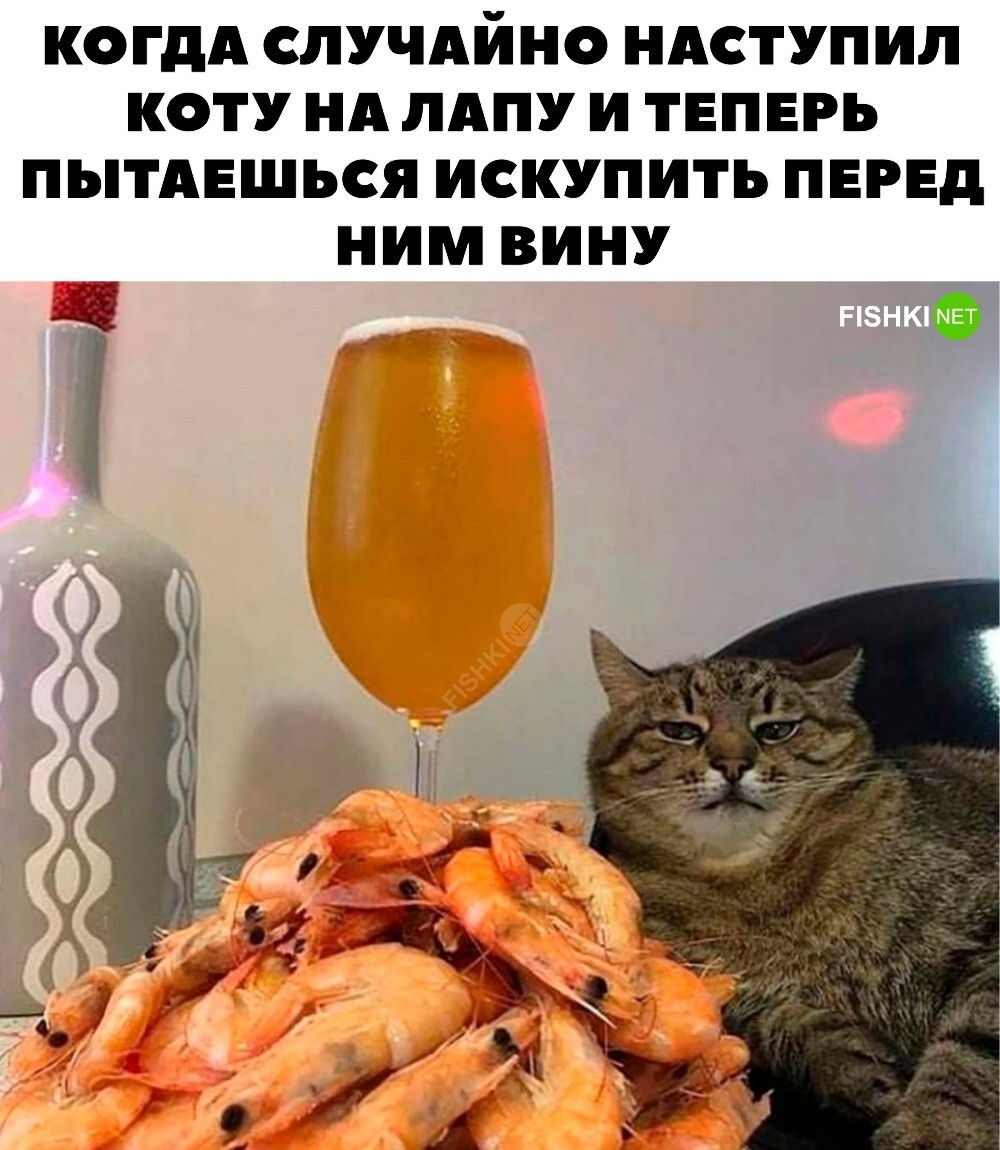 А кот не ценит 