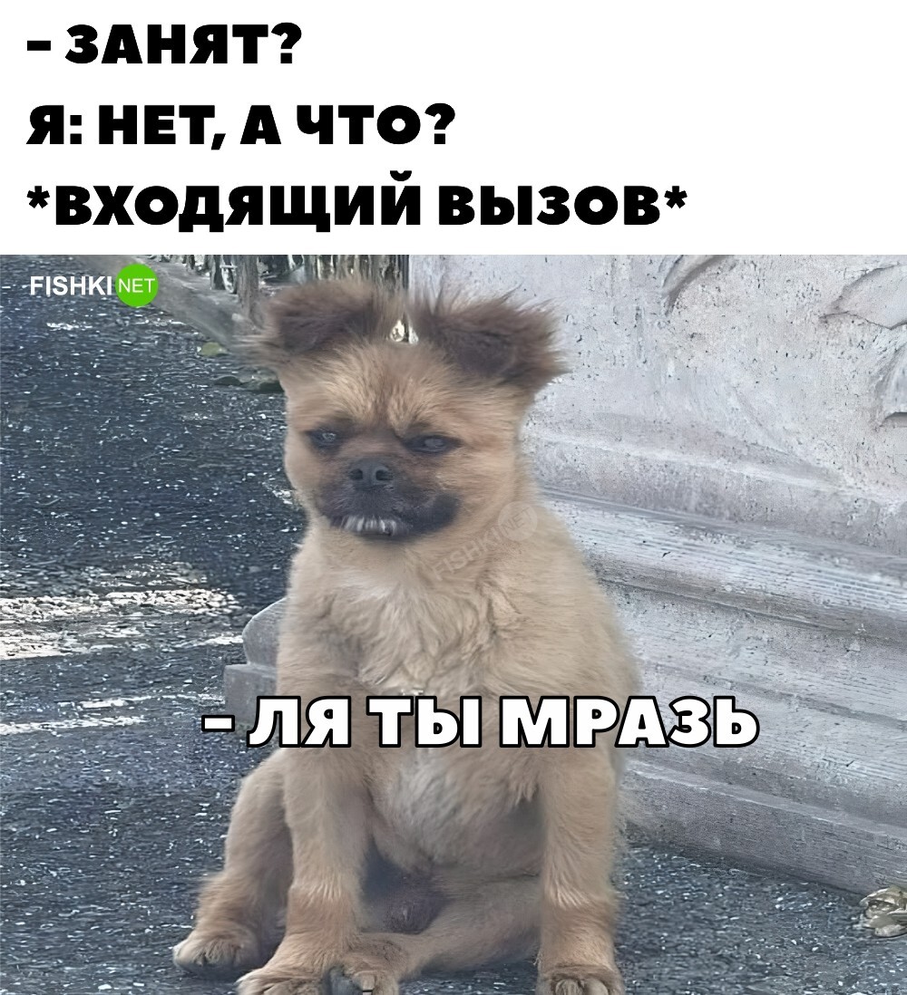 Бесят такие друзья