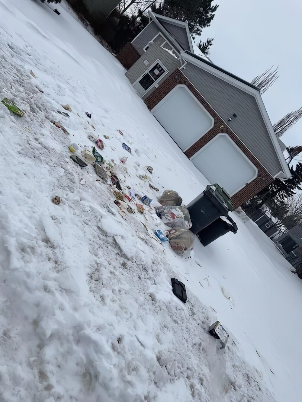 4. «У моих соседей постоянно рвутся мешки для мусора, и я никогда не видел, чтобы они пытались что-то убрать»